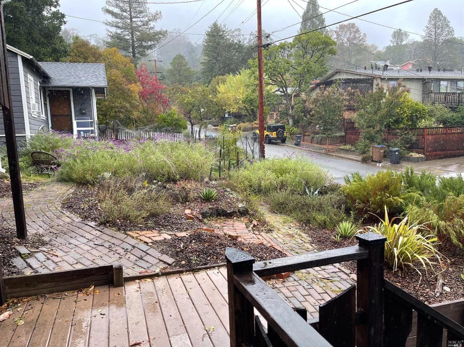 33-35 Maple - 3.jpeg