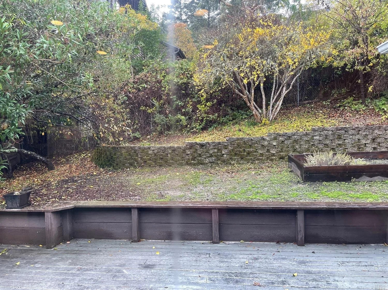 33-35 Maple - 11.jpeg