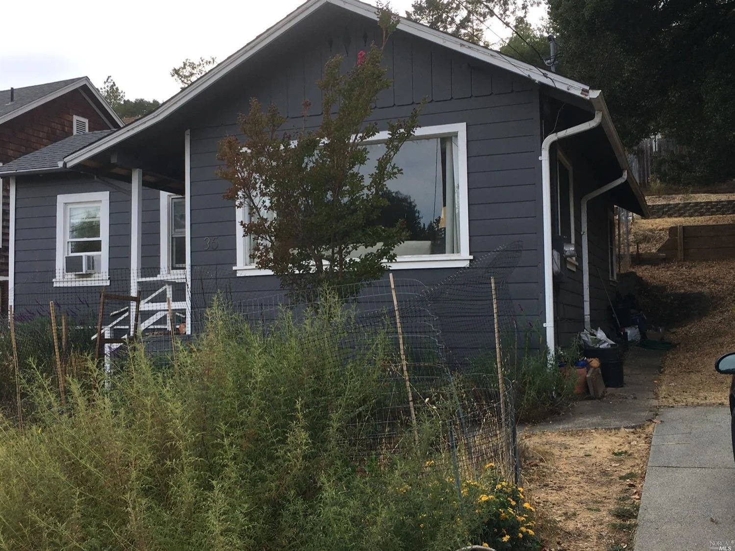 33-35 Maple - 14.jpeg