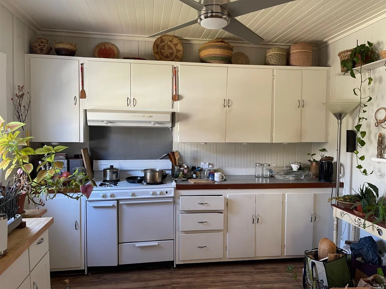 33-35 Maple - 16.jpeg