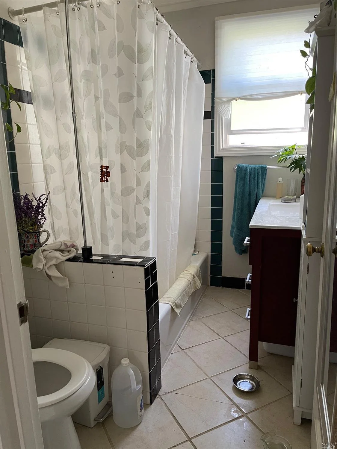 33-35 Maple - 17.jpeg