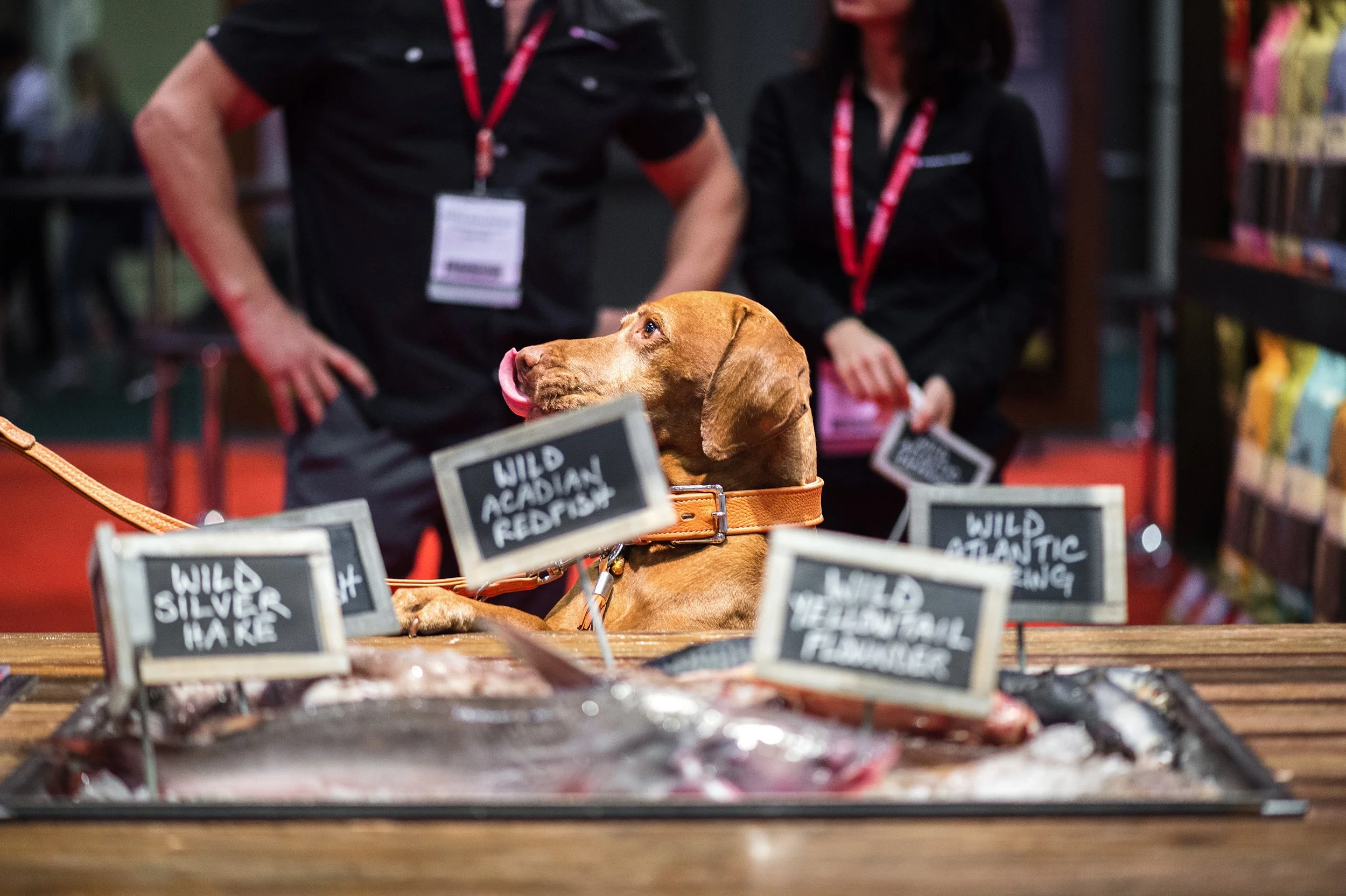 Champion Petfoods