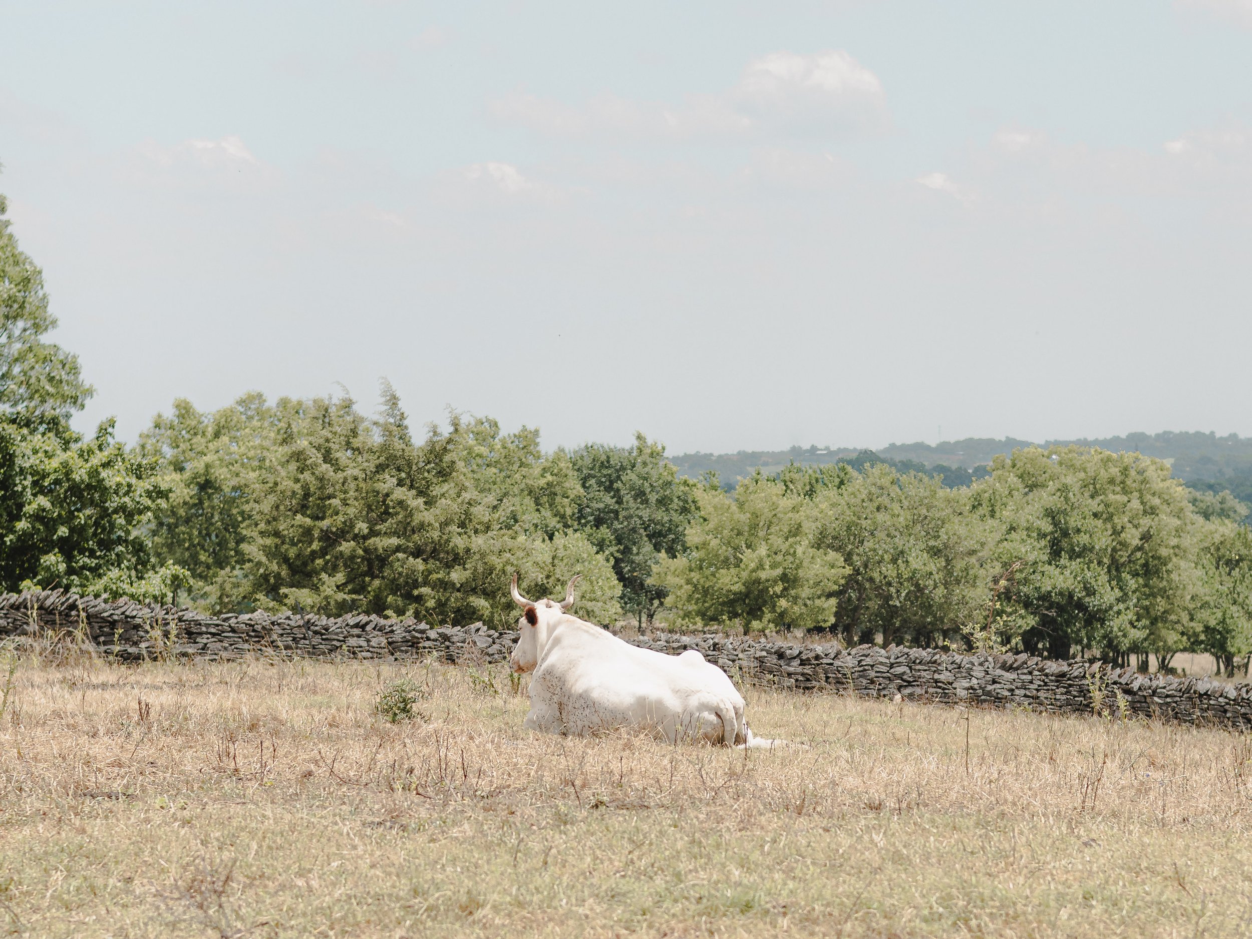 2310EX Shaker Village_188.jpg