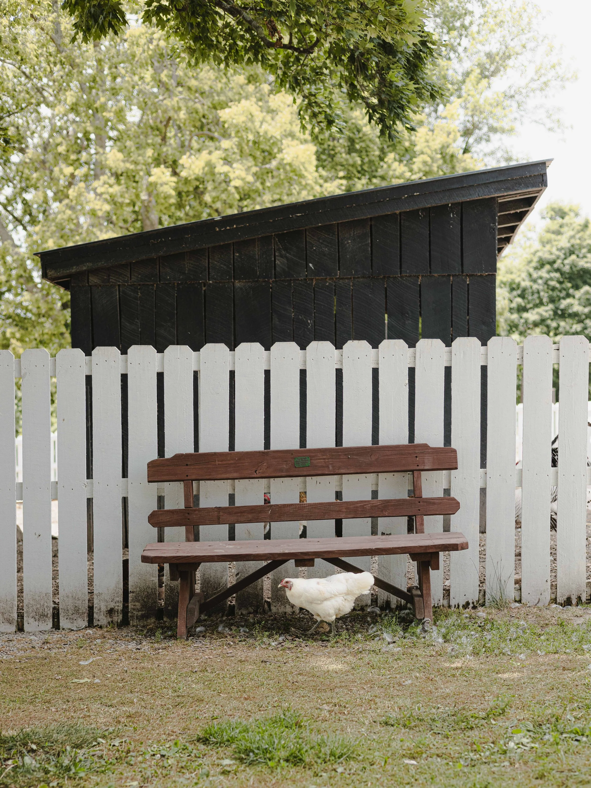 2310EX Shaker Village_194.jpg