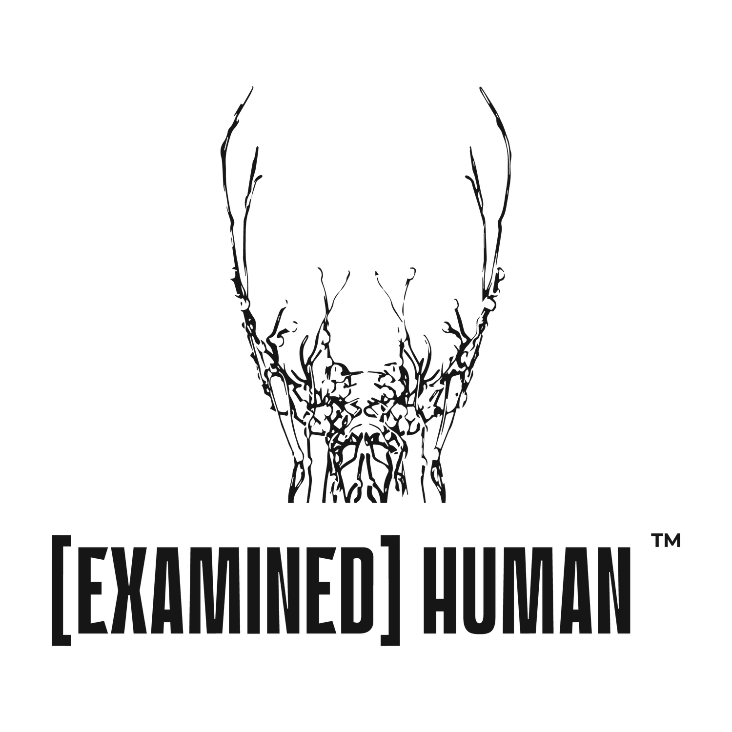 [Examined] Human Official Site