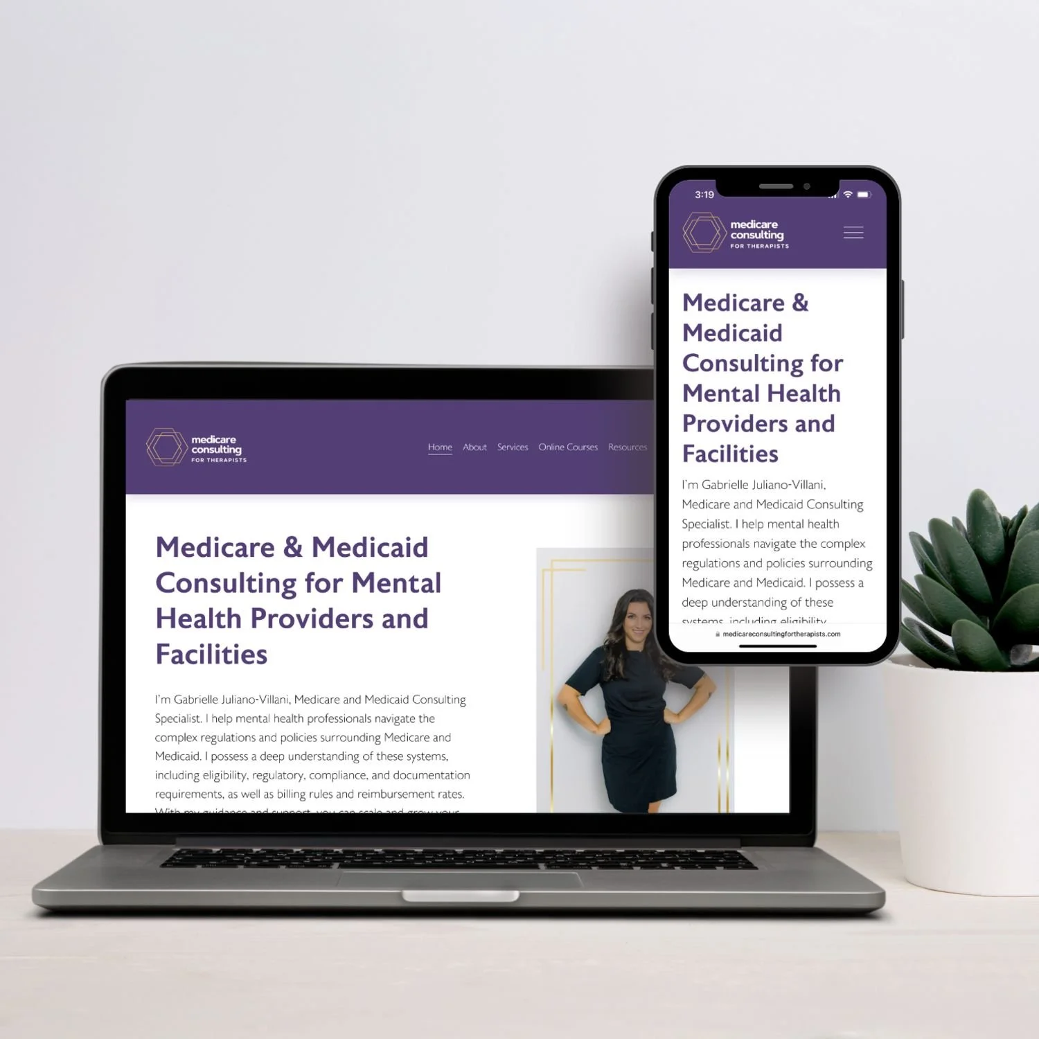 Medicare Consulting for Therapists Website