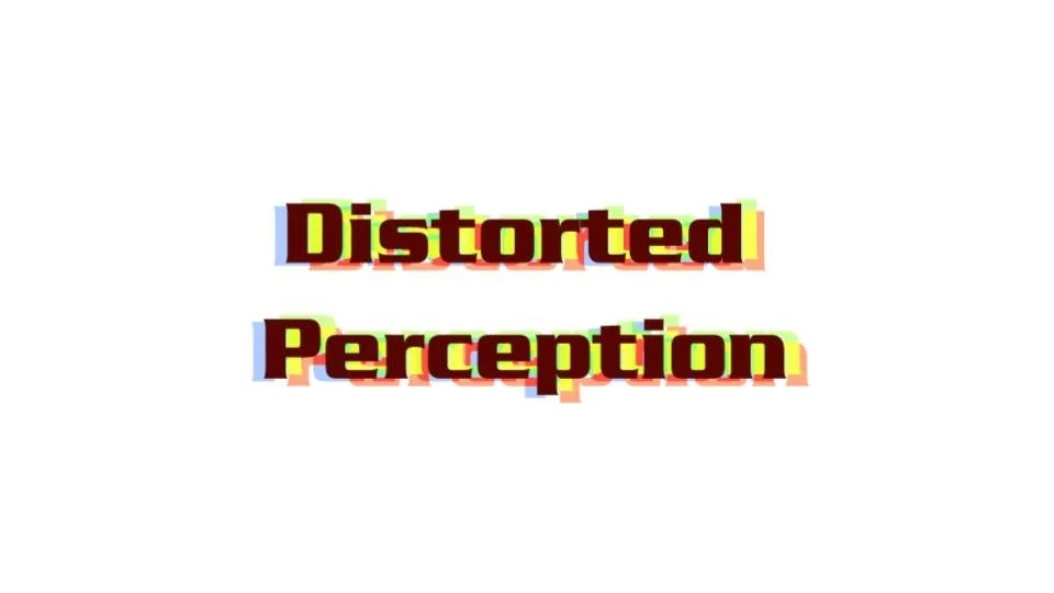 Distorted Perception (2022)