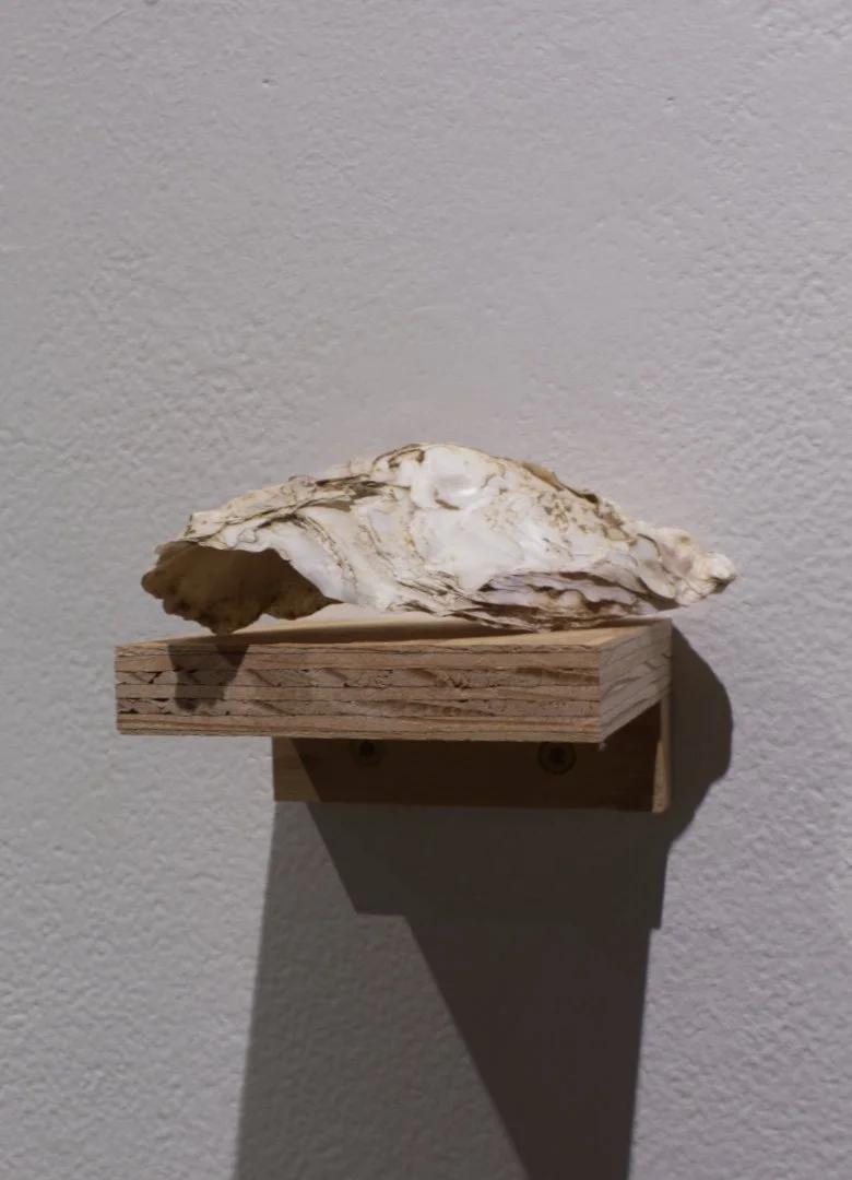 Oyster Shell (likely 1980s)