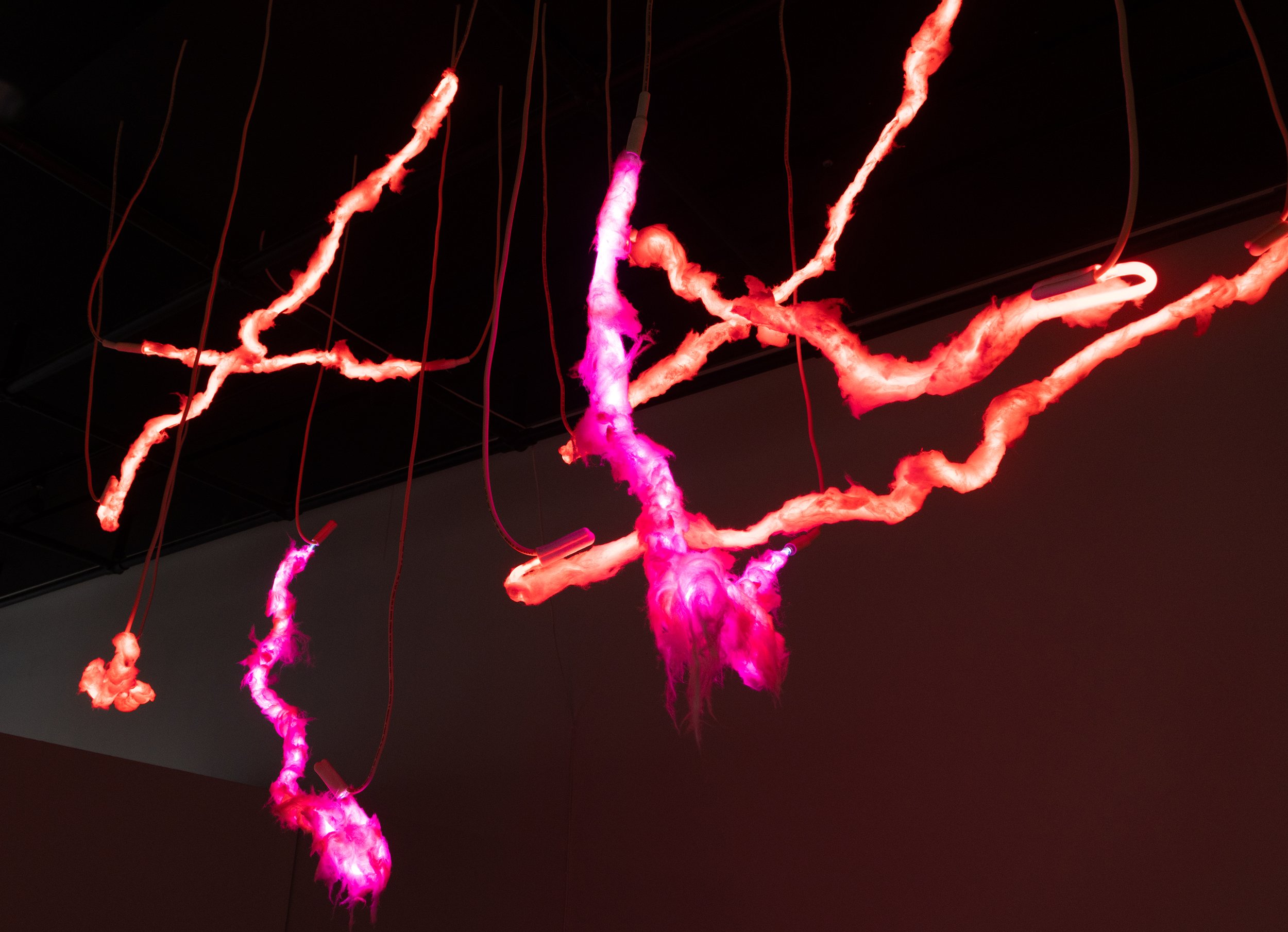 Scar Tissue (Detail 1) | Neon, Light, Pink fiberglass insulation, Hardware | 2024