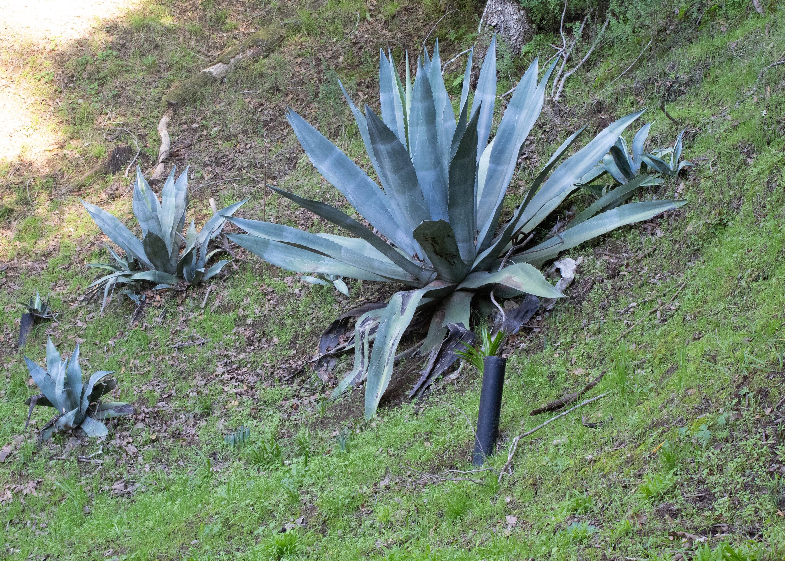 Propertymarker2 copy.jpg