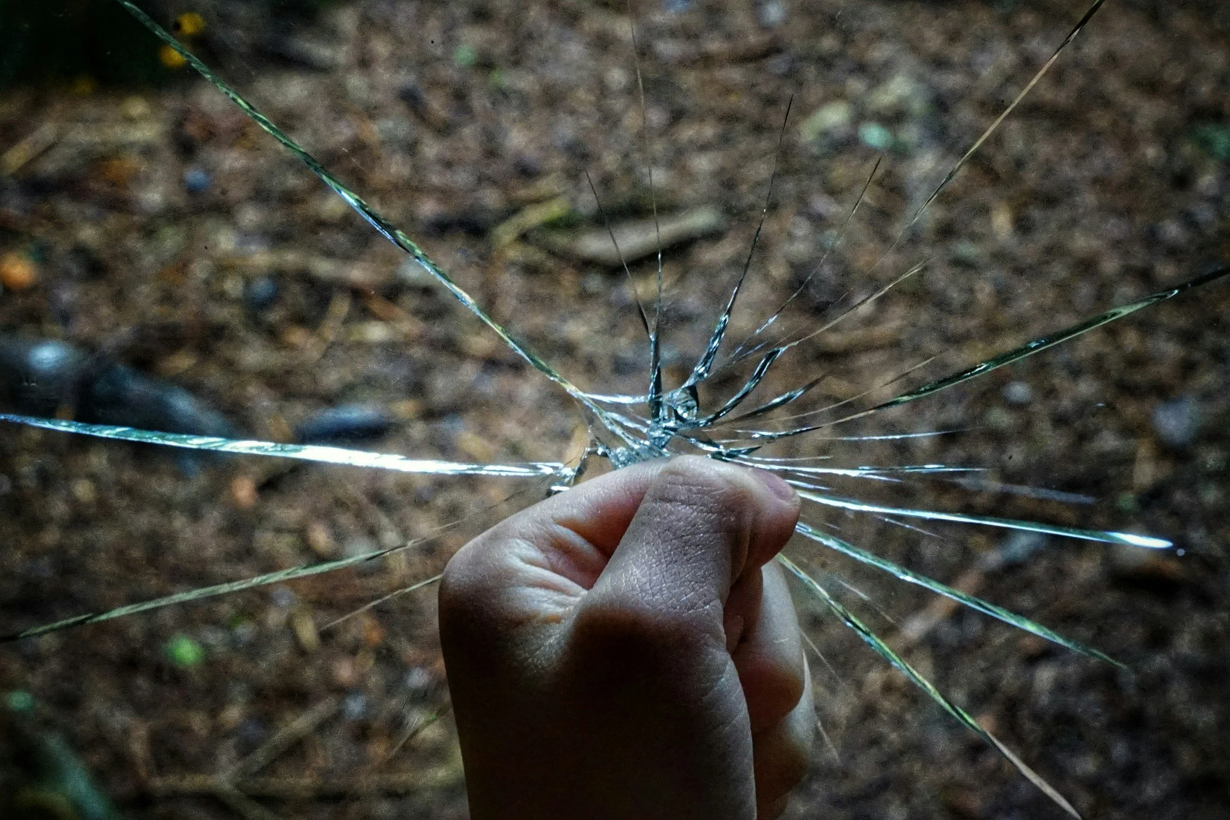 A fist against a pane of shattered clear glass. The exterior beyond the glass shows a gloomy landscape covered in dead leaves.