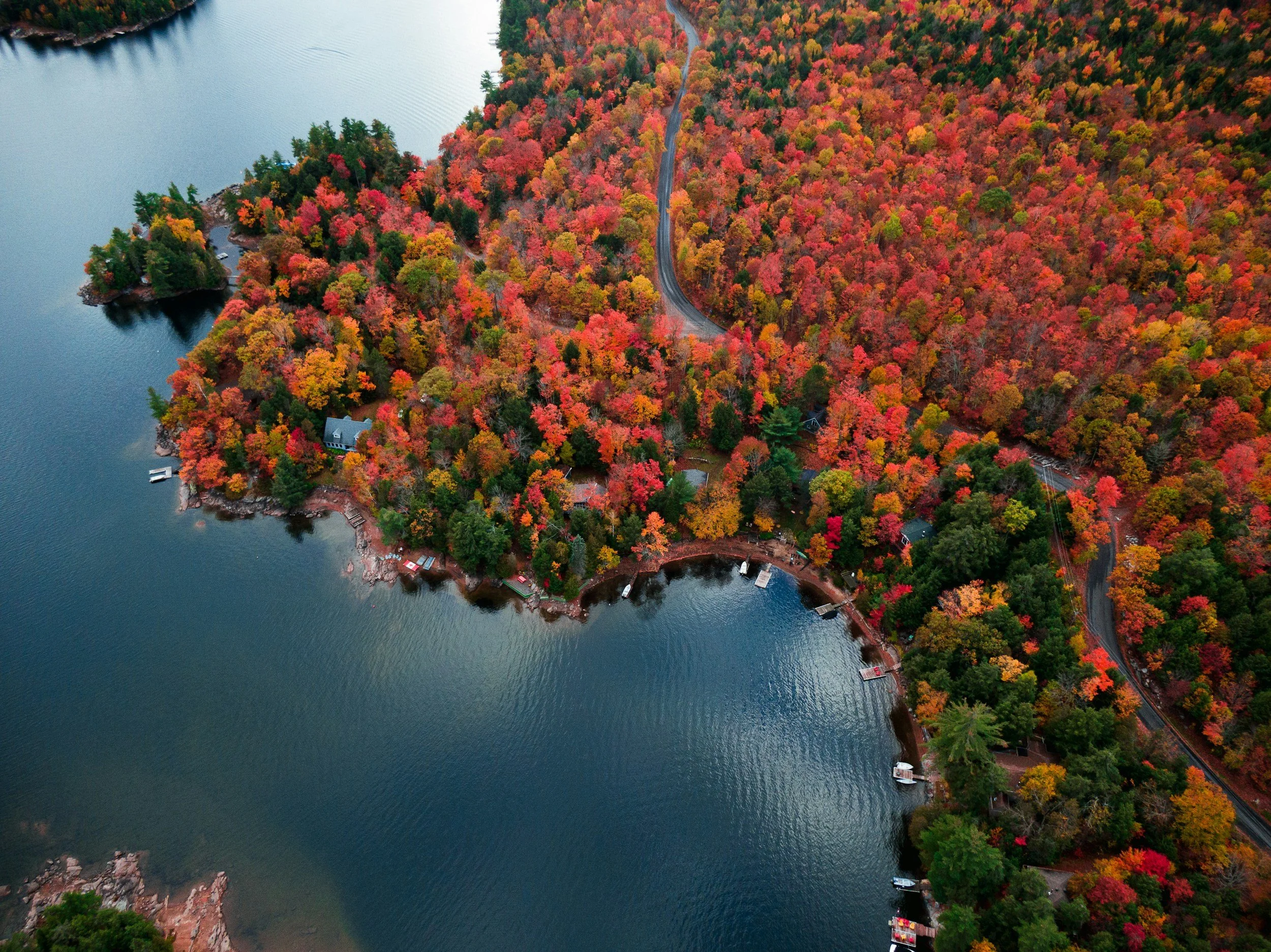 An aerial view of a curved shoreline next to a dark lake, showing bright red and orange foliage in the fall.