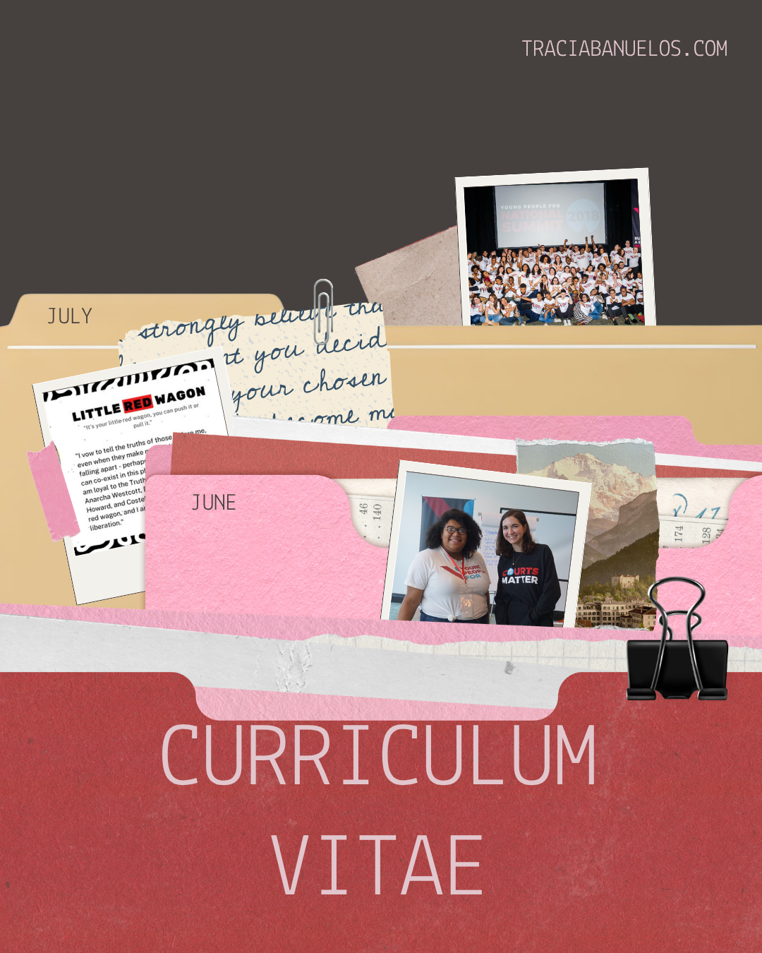 curriculum vitae