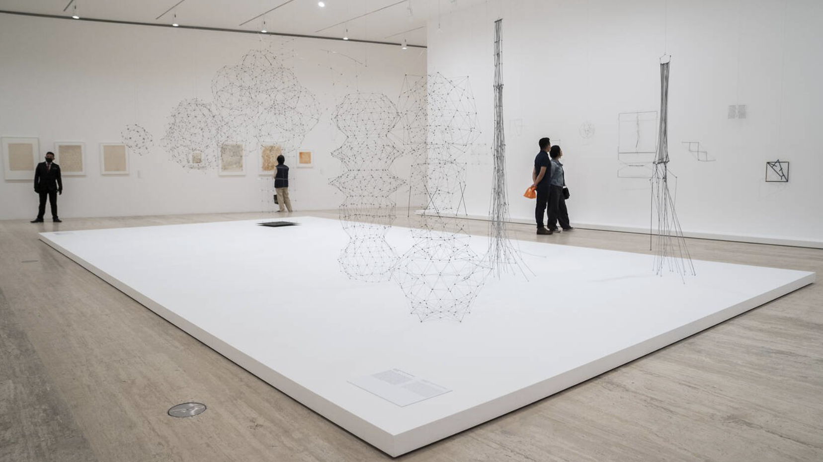 Gego: Midiendo el Infinito