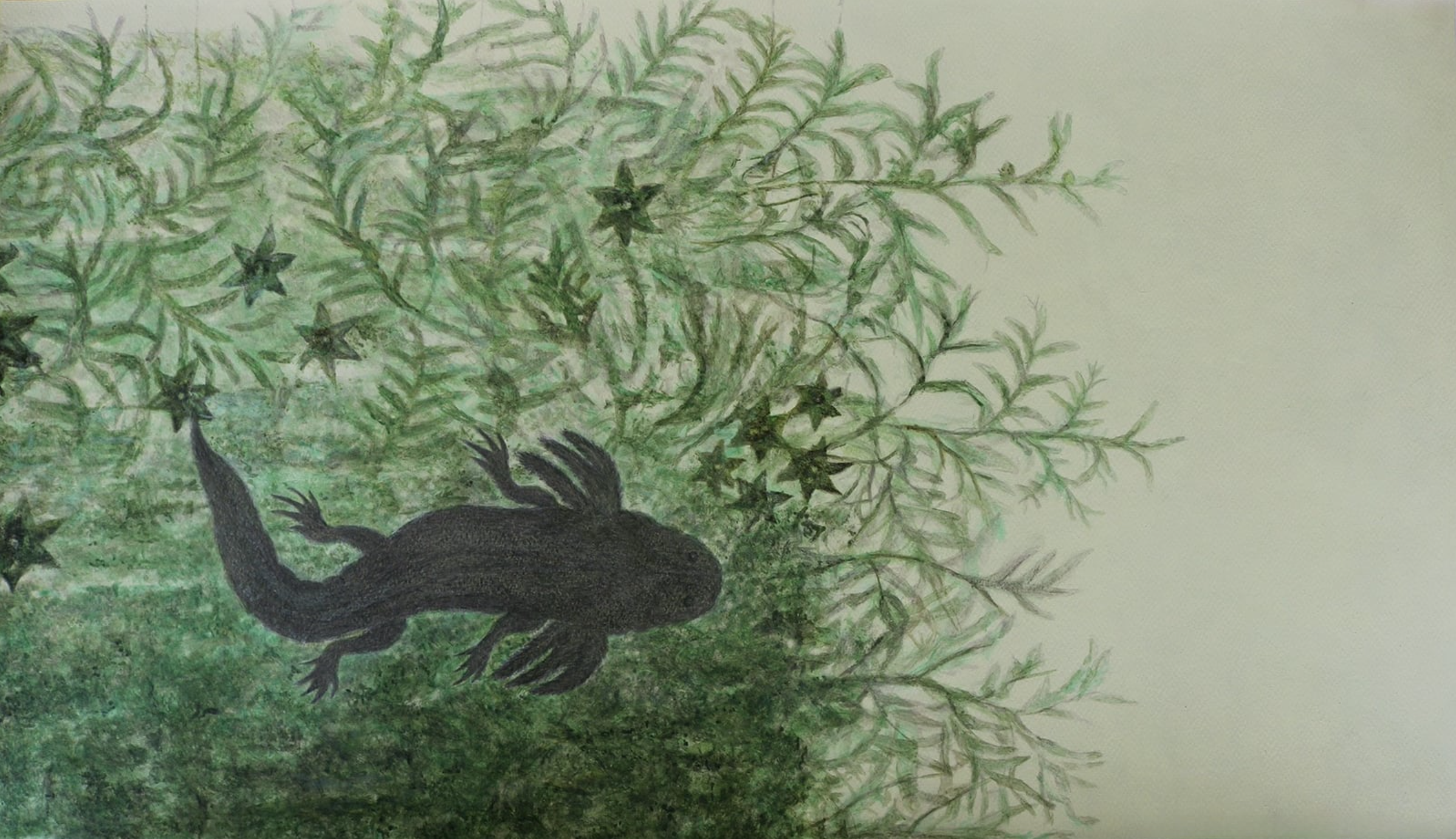 Melanie Smith: Un tiempo de libertad en que el mundo había sido posible