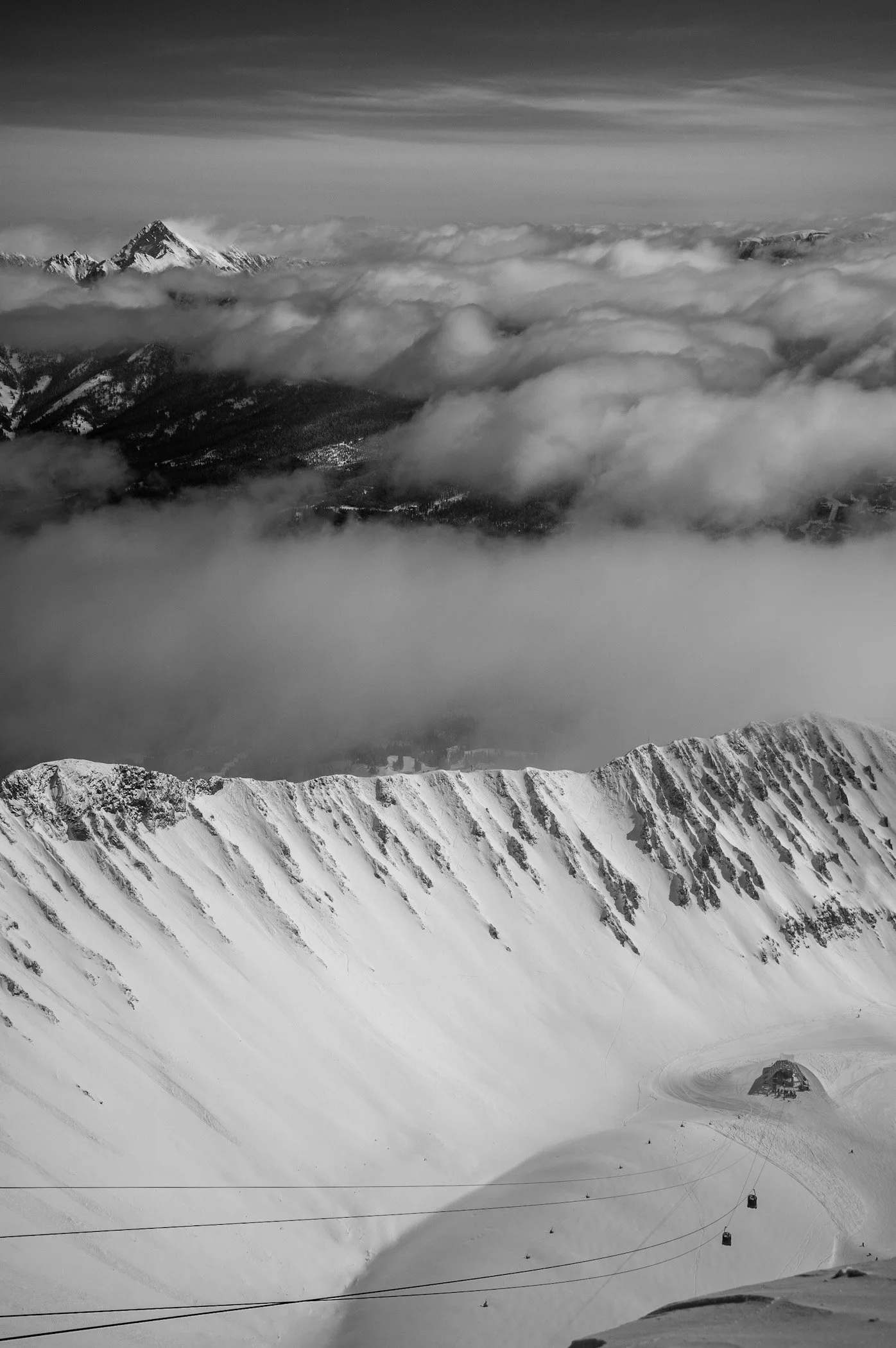 Spring time Tram line .JPG