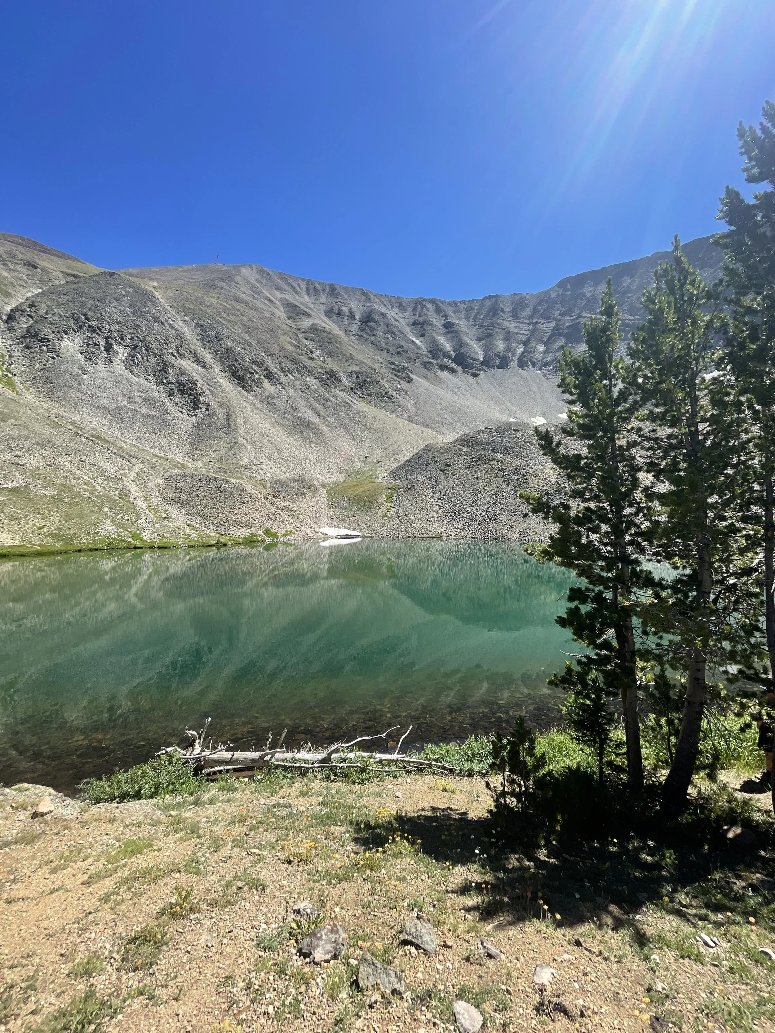 71373557216__3128FA38-0772-46B4-8F9E-C0C6464D200B.fullsizerender.jpg