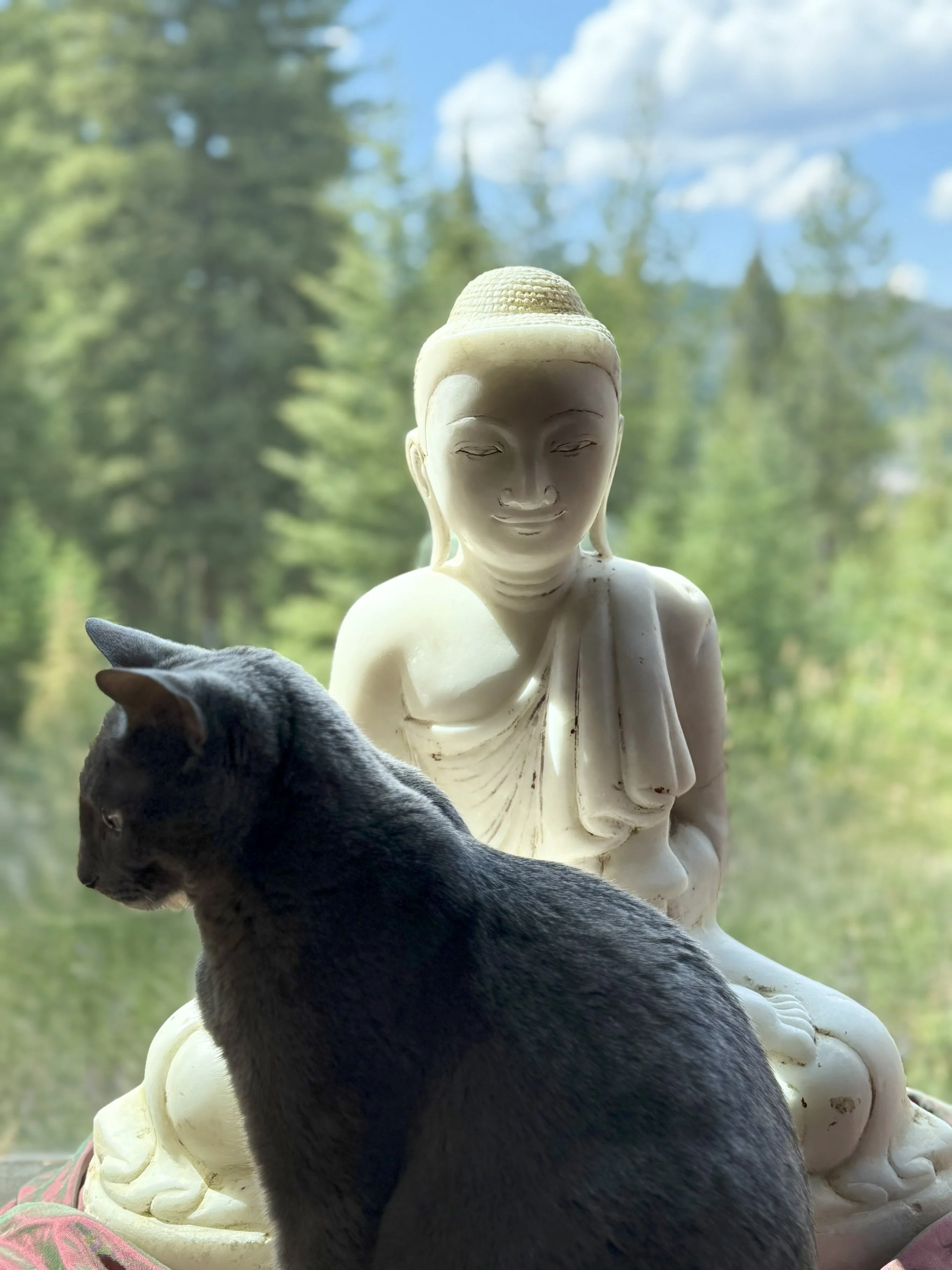 jenelle johnson Lenin.jpeg