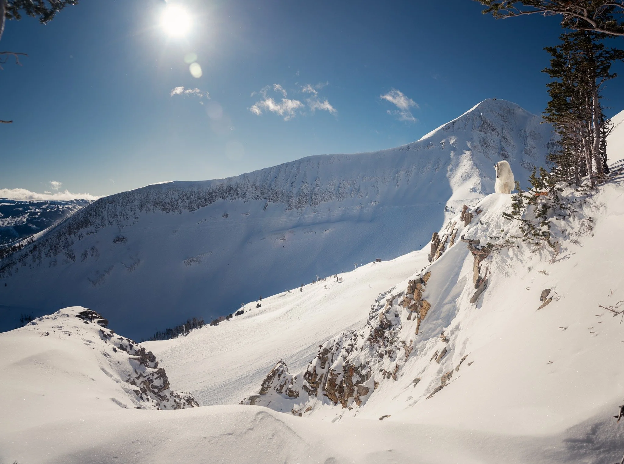 SAVE THE DATE! 📅

The highly anticipated 11th Annual Big Sky Winter Shootout, presented by Second Season, is set to return on Thursday, March 26th at Big Sky Waypoint. 

This premier film and photography festival is a full on visual celebration of B