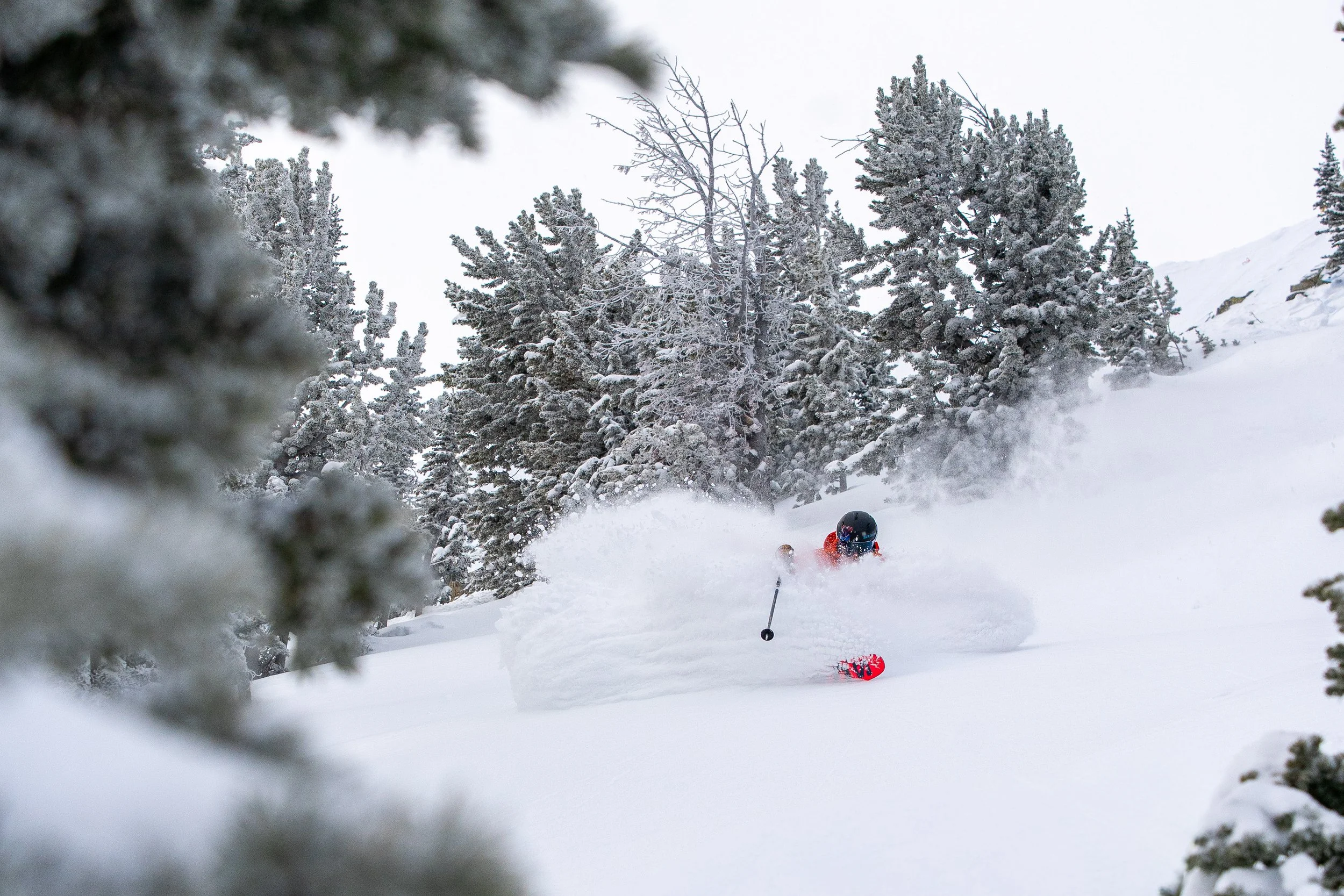 sean mackinson (1).jpg