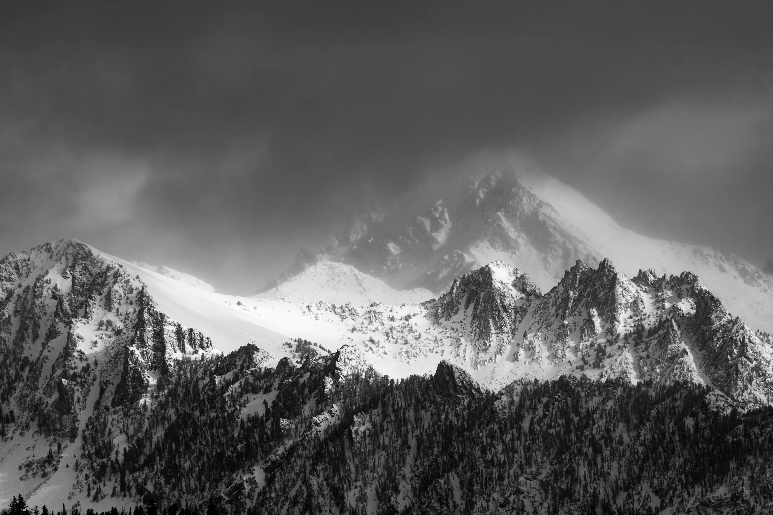 sean mackinson (2).jpg