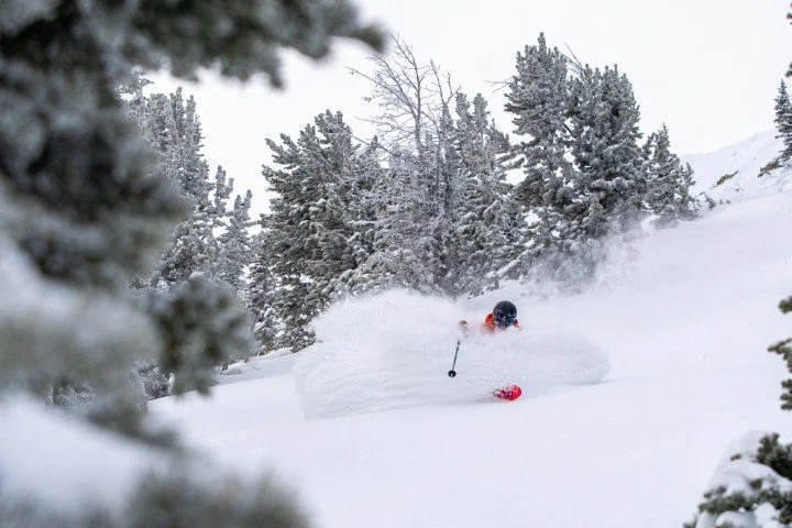 sean mackinson (1) (Small).jpg