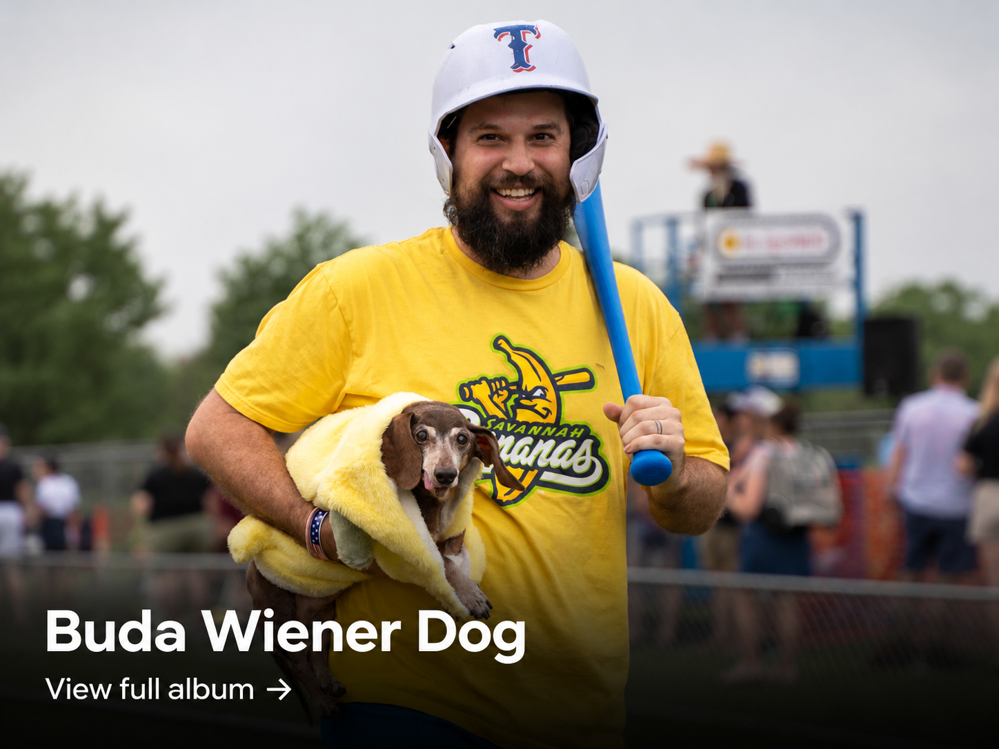 buda-wiener-dog.png
