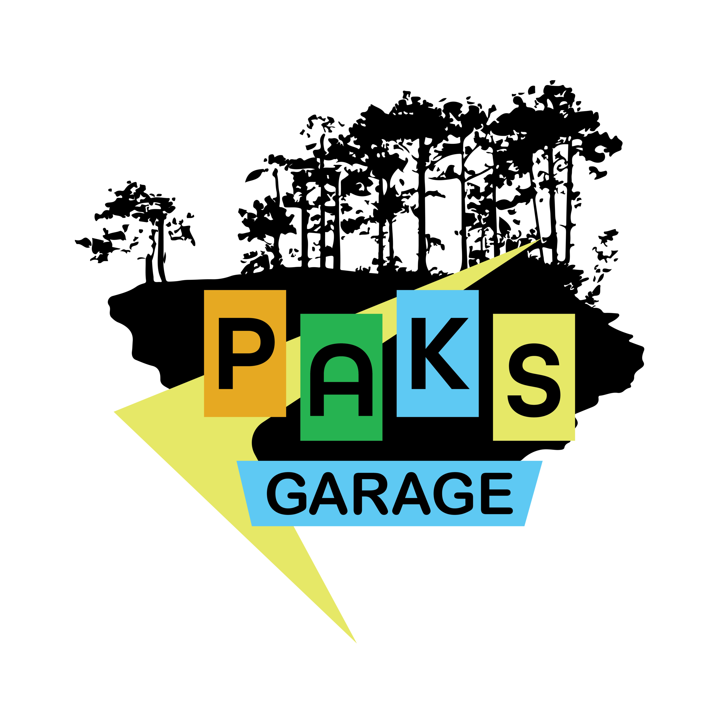 Pak's Garage Logo-square-01.png