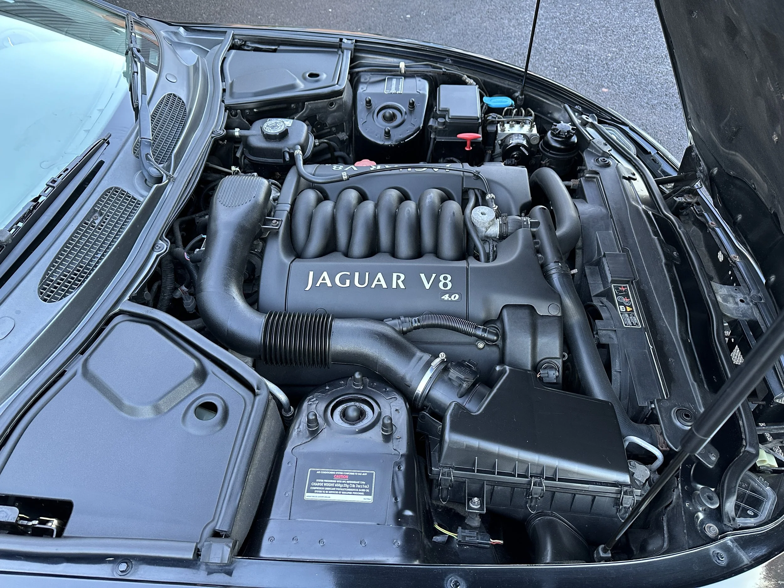 Jaguar XK8 - OU02MFZ (14).jpg