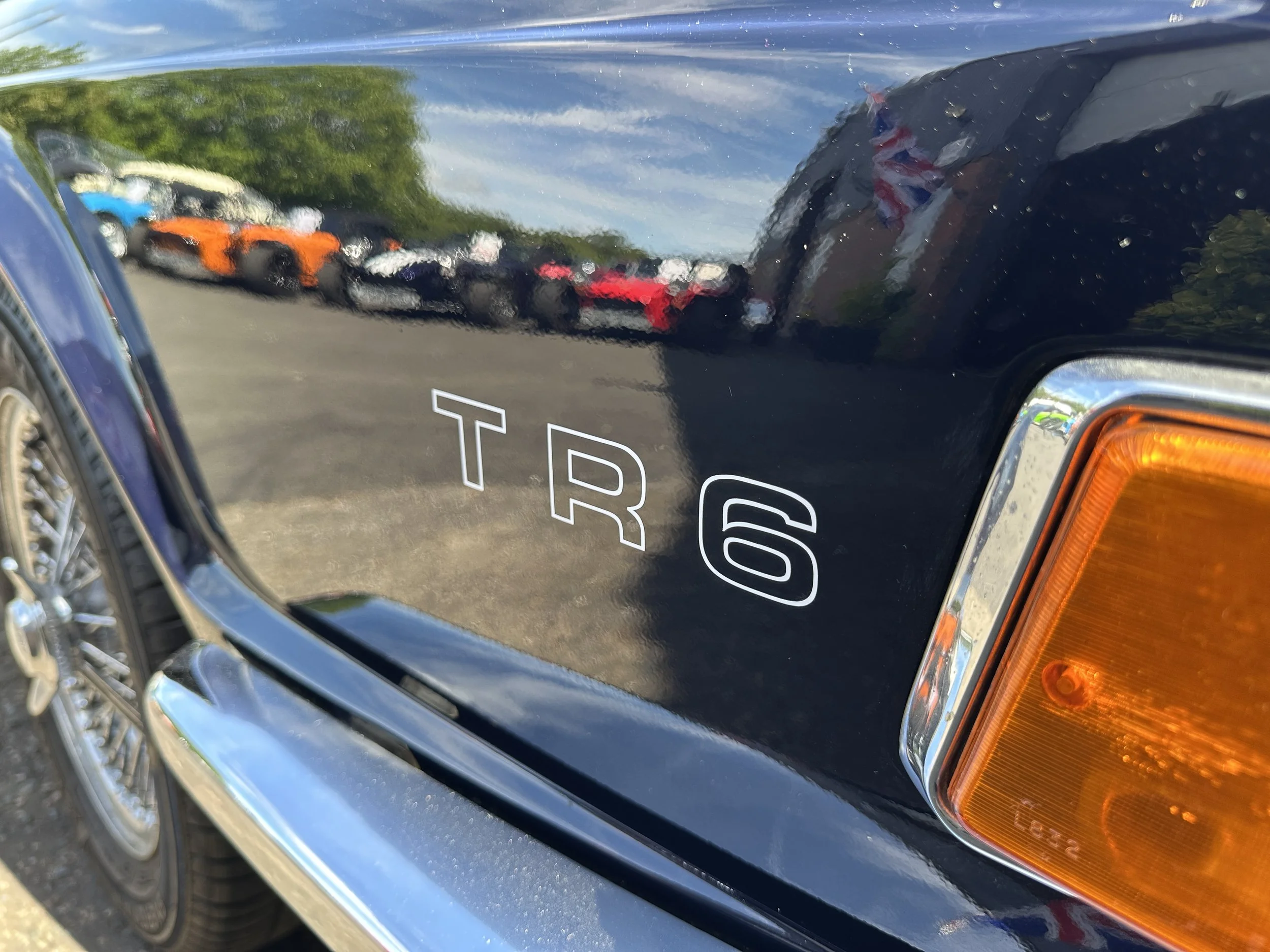 Triumph TR6 - MUL788L (9).jpg