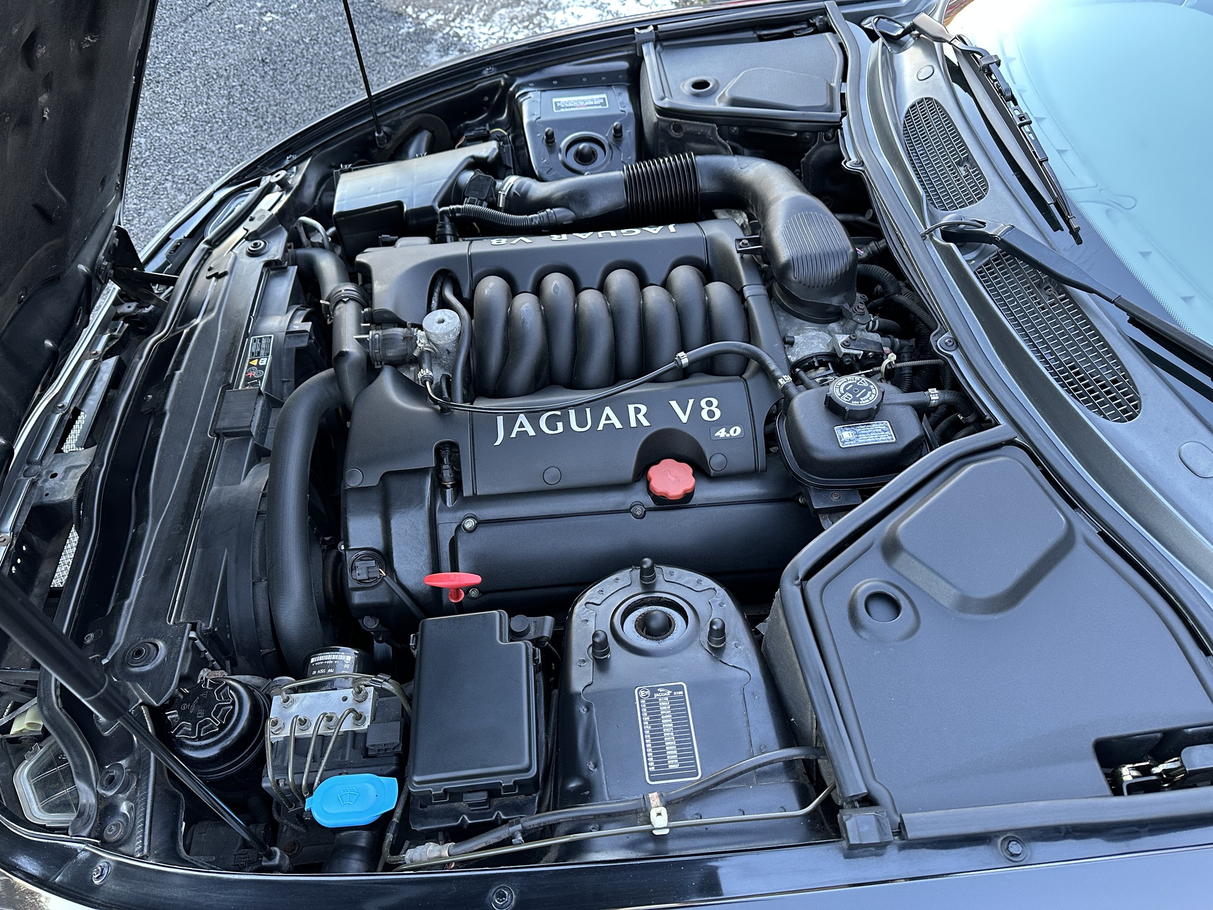 Jaguar XK8 - OU02MFZ (15).jpg