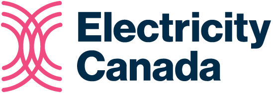 Women in Electricity Award