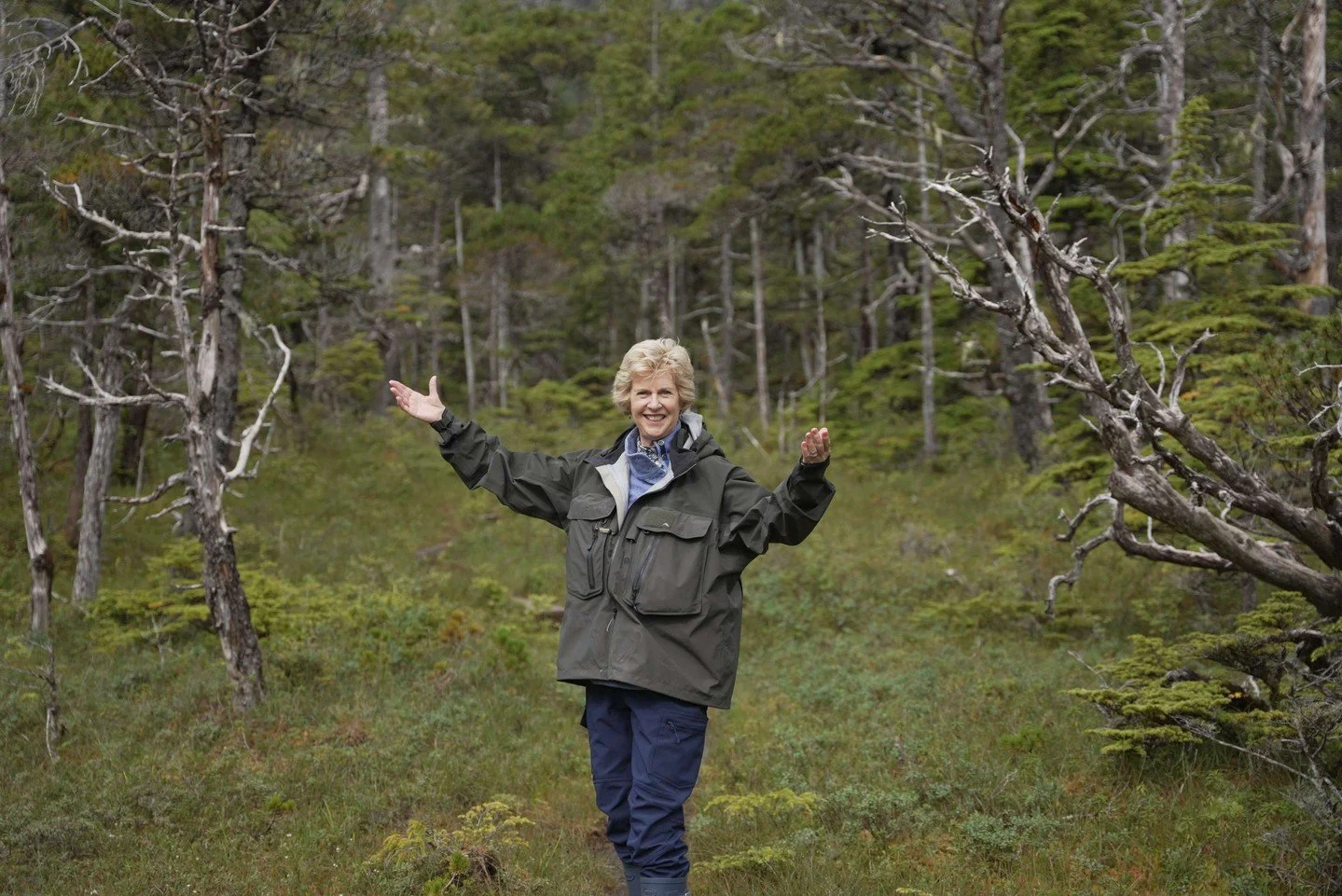 Truly step into Alaska's embrace. Unlike other cruise lines that keep you largely ship-bound, we invite you ashore daily to wander forests like this, where every trail reveals nature’s quiet wonders. The call of the wild is always within reach.