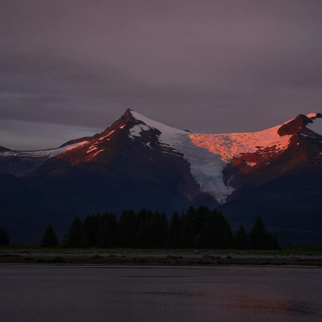 As dusk settles, the stillness speaks for itself, inviting you to linger a while.
🛥️ Cruise with us Summer 2026: theboatcompany.org (or linktree in bio)
#TheBoatCompany #AlaskaCruise #TongassNationalForest #Alaska #Cruise #Wildlife #TravelAlaska #