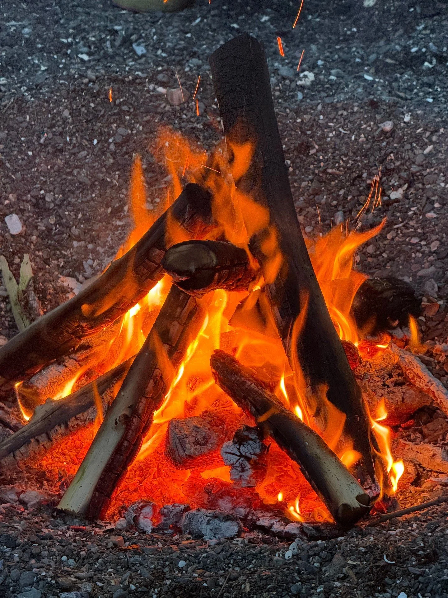 Evenings ashore are guest favorites&mdash;warm fire, the soft hiss of tide against sand, and a toasted marshmallow in hand. When weather allows, we set up simple beach bonfires so guests can stretch their legs and share stories under the northern lig