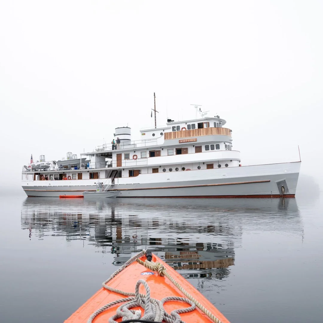 For 46 years, our boats have carried small groups of travelers through the Tongass. We move quietly&mdash;not to make headlines, but to let the wild stay wild.

🛥️ Cruise with us in 2026: theboatcompany.org

#TheBoatCompany #AlaskaCruise #TongassNat