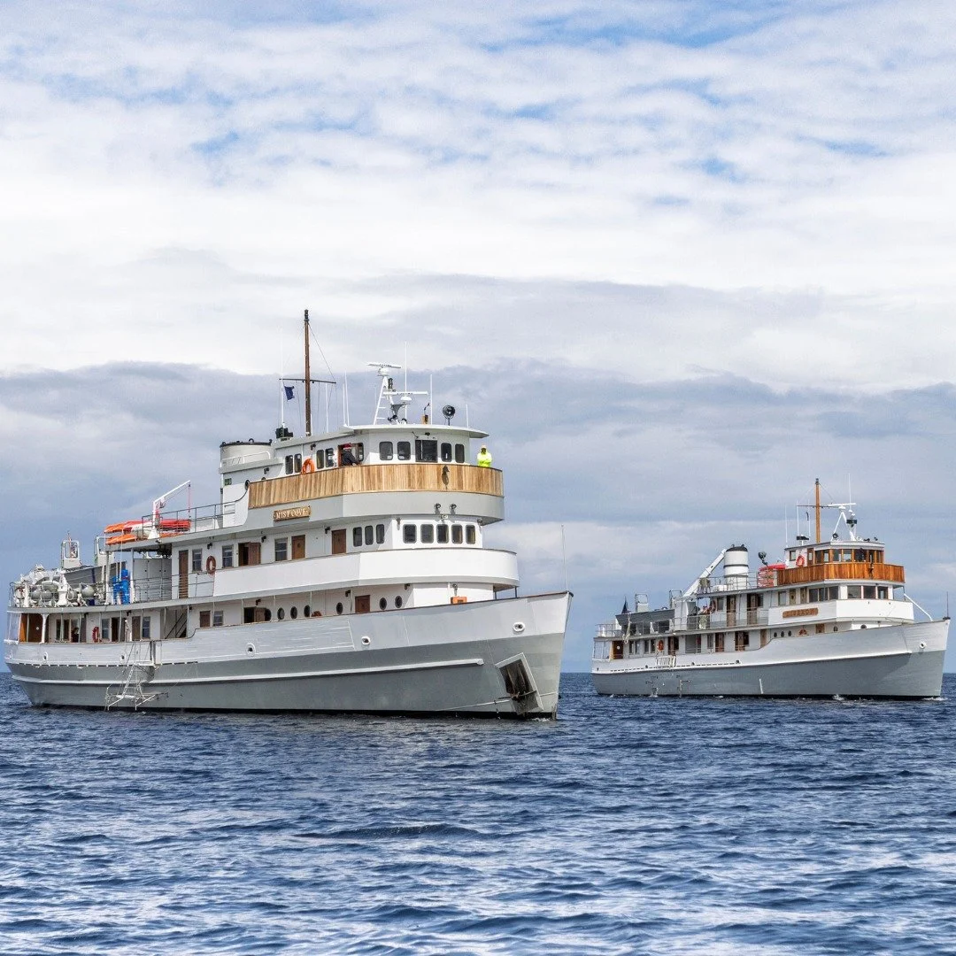 A rare sight: both of our boats in the same frame.

For most of the season, the M/V Mist Cove and M/V Liseron are on separate itineraries &mdash; but when the timing lines up and they meet on the water, it feels like a reunion. Two expedition ships w