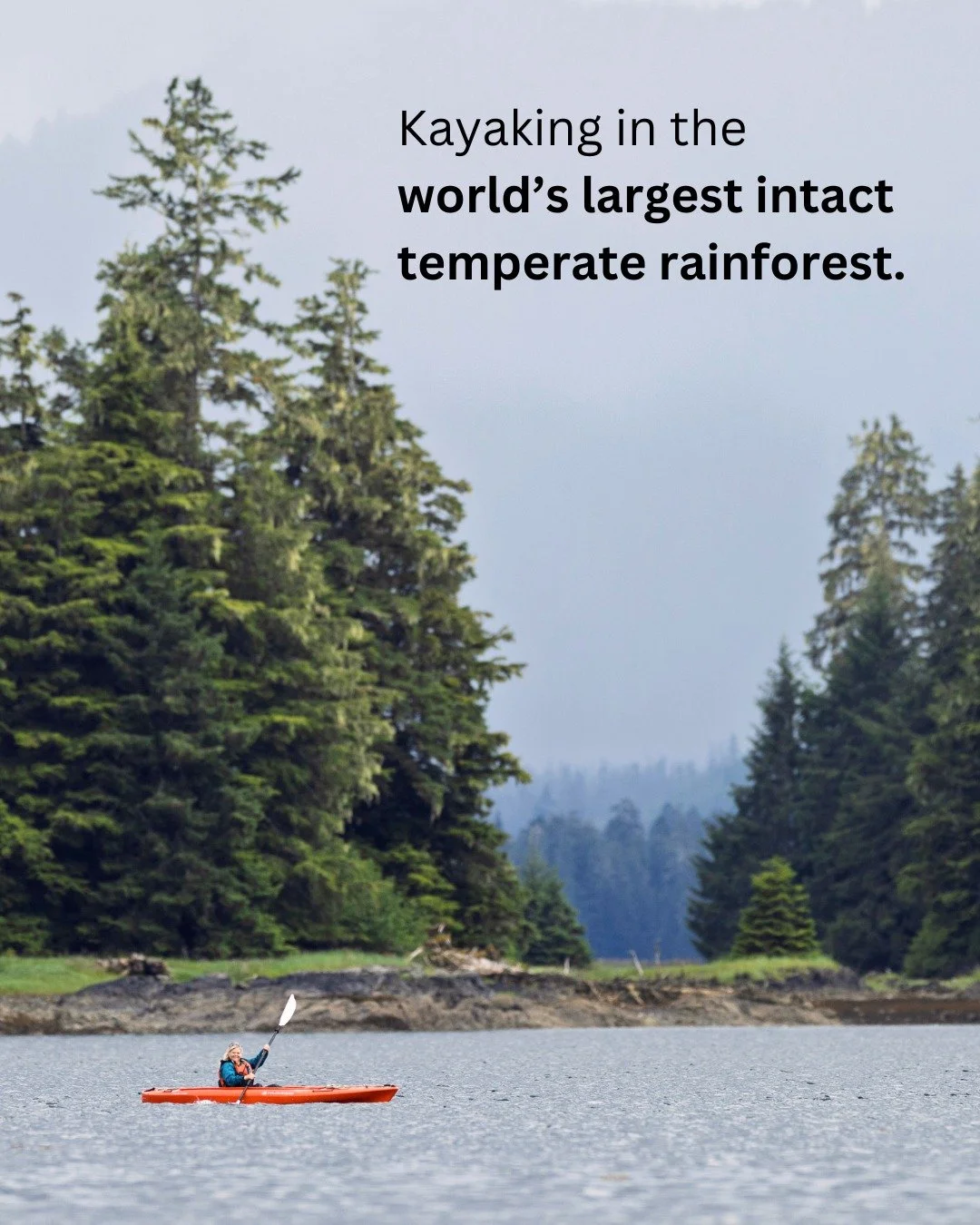 Some days kayaking is a quiet morning paddle, slipping past old-growth forest and watching the shoreline wake up. Other times it&rsquo;s drifting through kelp forests, tracing the edges of coves, or lingering near a waterfall you&rsquo;d never reach 
