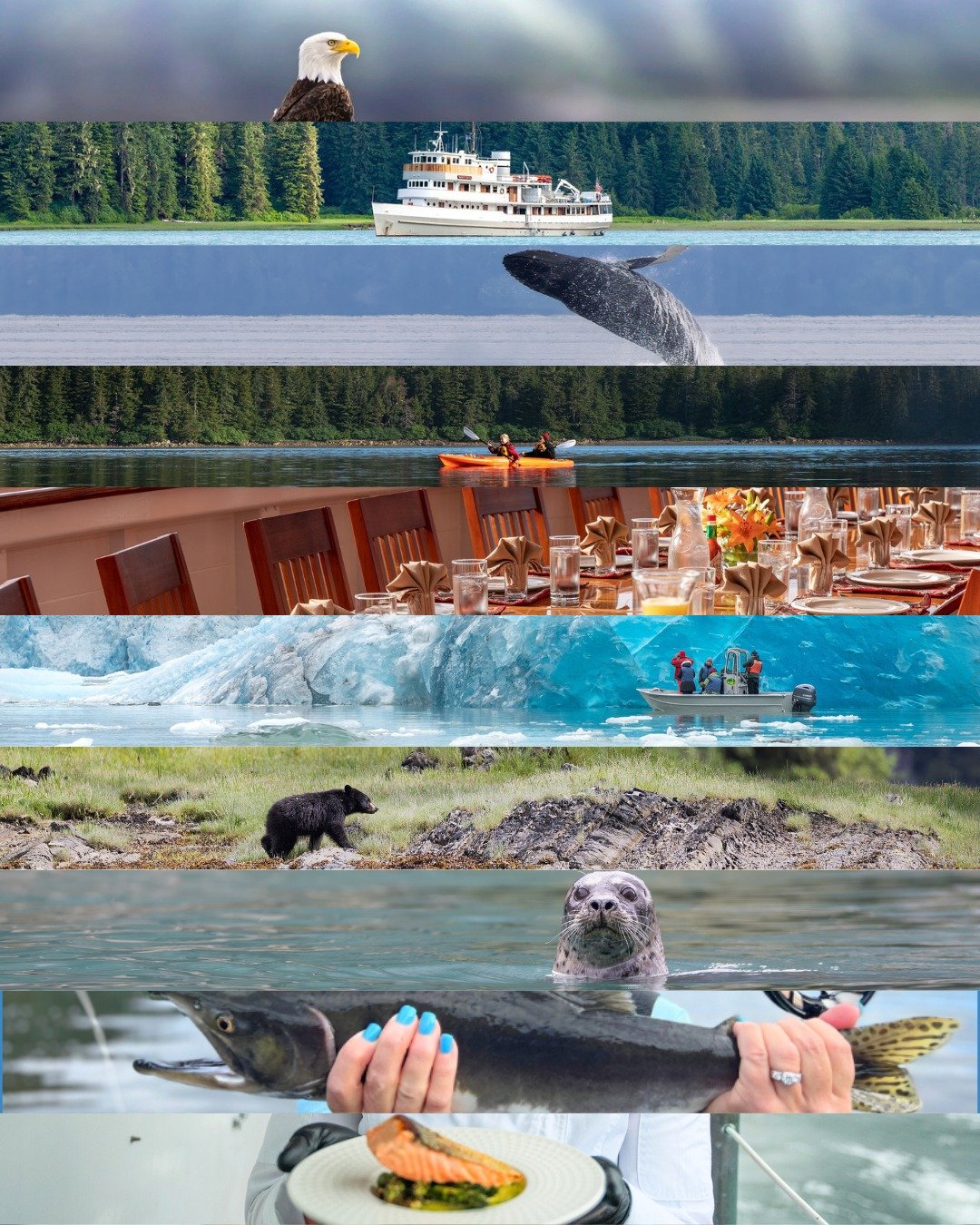 This is how a year is built.
Moment by moment.
Layer by layer.

Nothing wasted. Nothing rushed.
Every small experience shaping the next.

You don&rsquo;t always have to start over.
Sometimes you just keep going&mdash;
and look back to see how far you