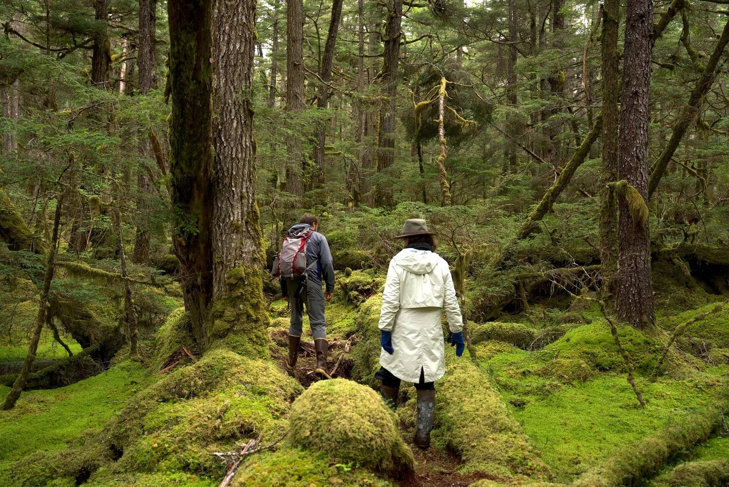 In the heart of the Tongass National Forest, silence isn&rsquo;t empty&mdash;it&rsquo;s alive.

Moss underfoot.
Ancient trees overhead.
Just a few of us moving slowly through a place that has been here long before&mdash;and will be long after.

This 