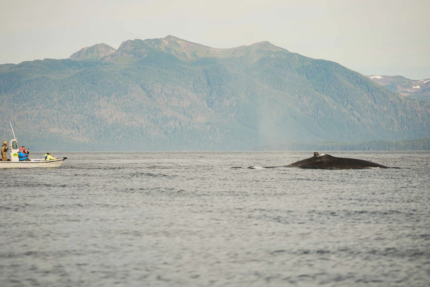 Why direction doesn&rsquo;t matter &mdash; access does. Small ships and wilderness permits allow us to hike, fish, and explore places that don&rsquo;t appear on other itineraries. The result isn&rsquo;t a checklist. It&rsquo;s freedom, presence, and 