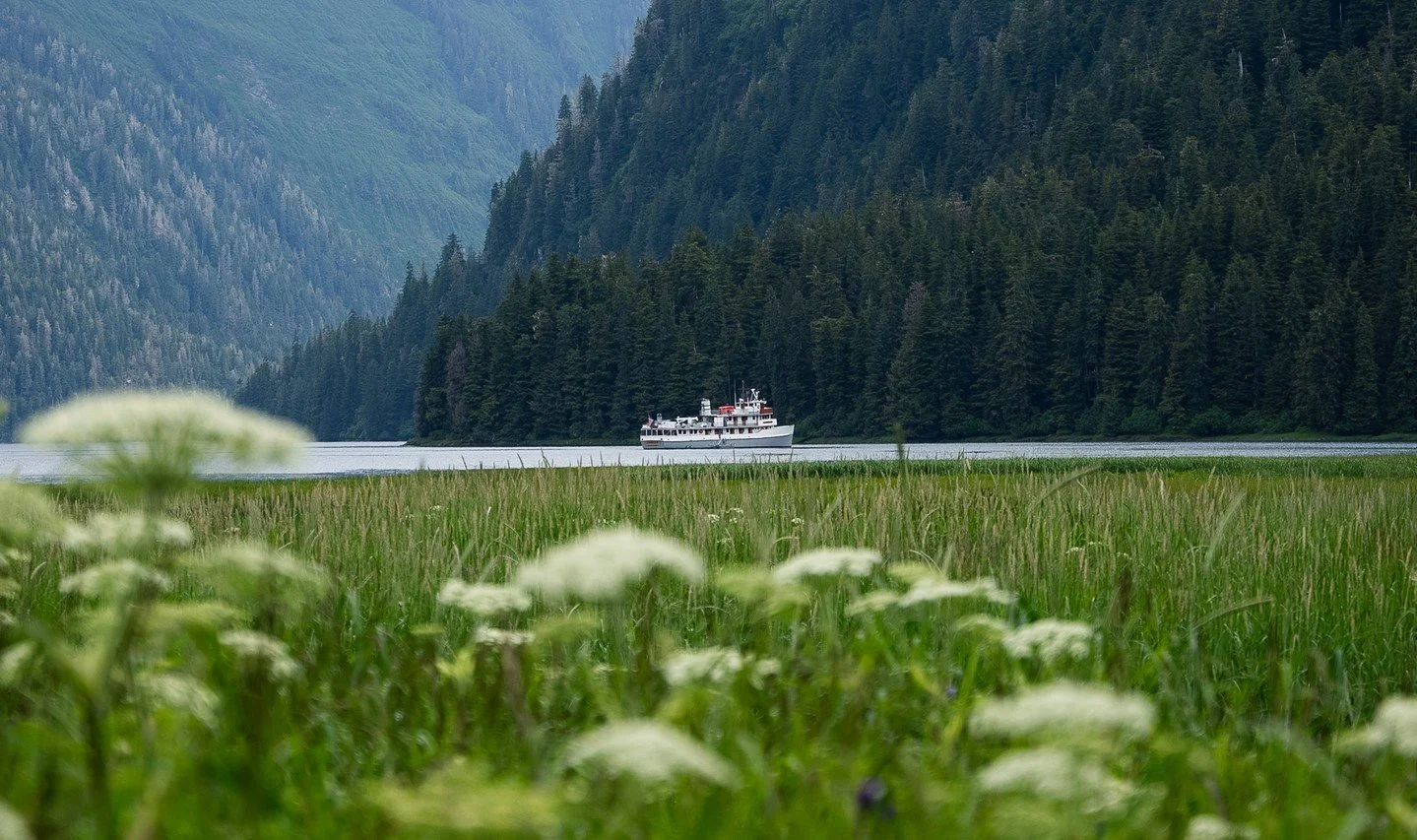 We kept this image wide, even though social media prefers tall crops. You might have to look closely to spot our 150-foot ship. But it&rsquo;s that small size &mdash; tucked quietly into a vast landscape &mdash; that makes moments like this possible 