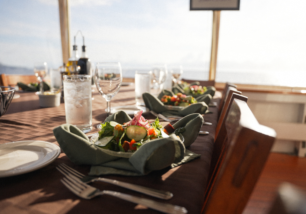 Mist Cove #13: Aug 7 - Aug 14, 2027