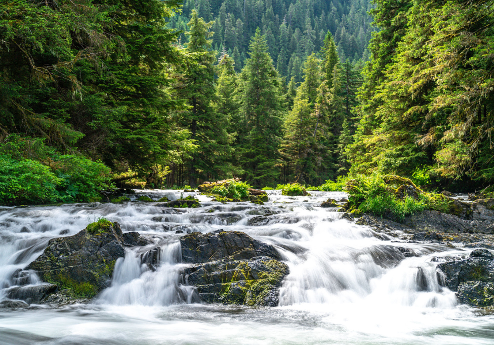 Mist Cove Trip #8: Jun 26 - Jul 3, 2027