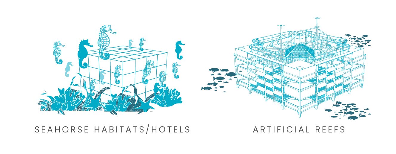 seao2-up-diagram-biodiversity-enhancement.jpg