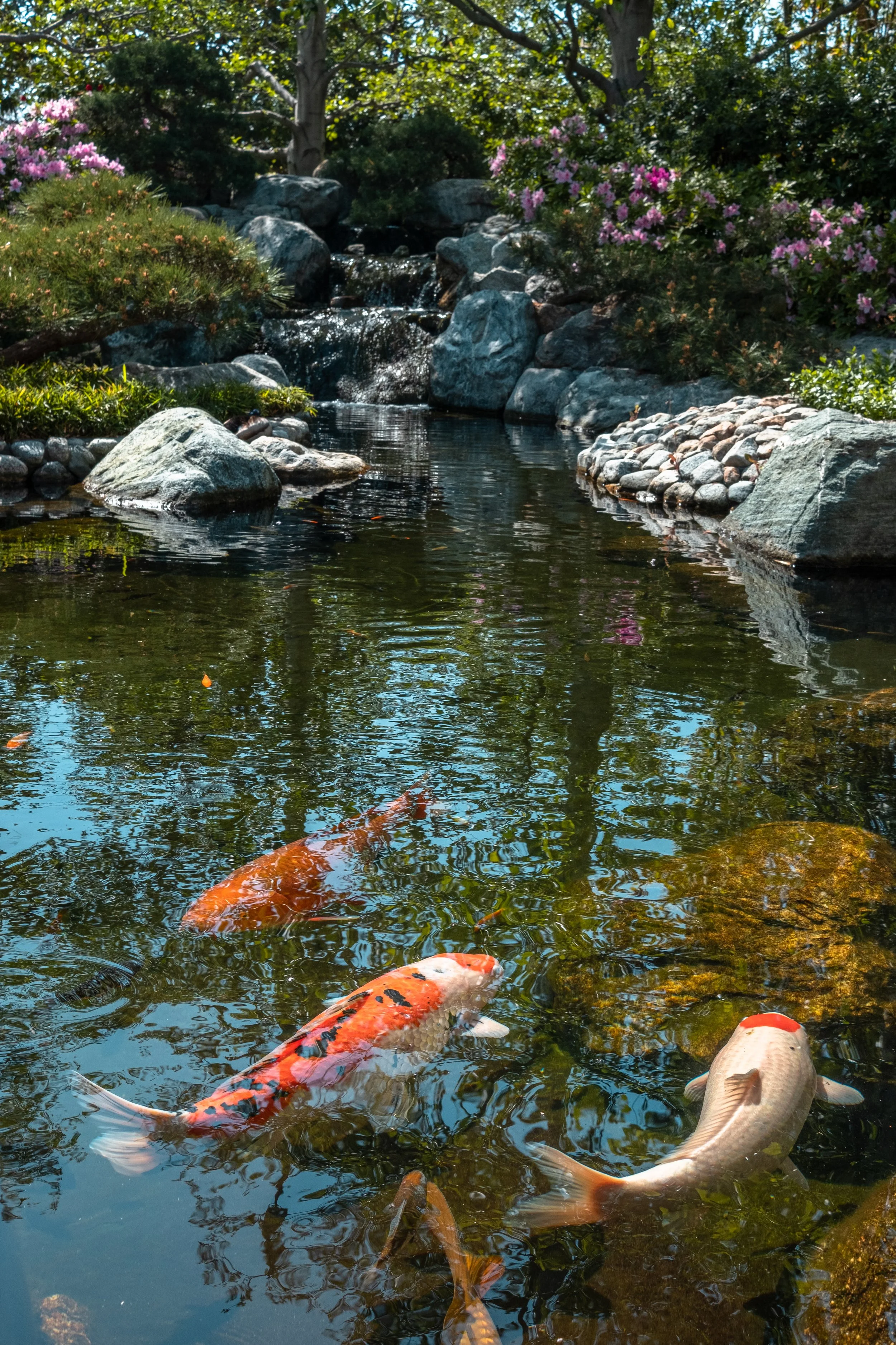 DSCF8907.jpg