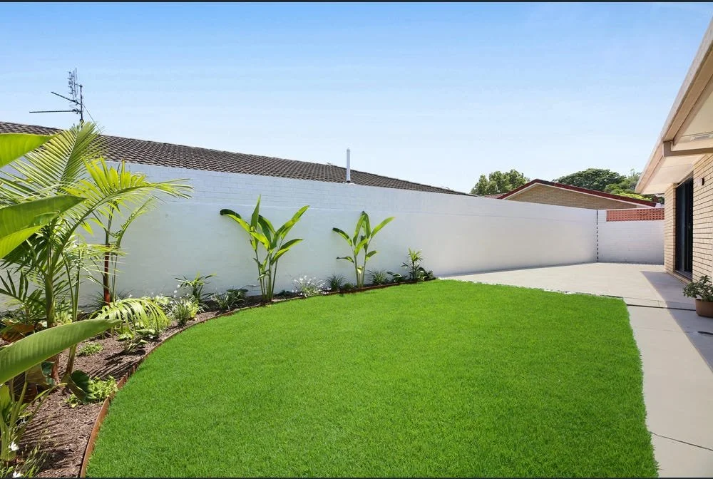 A backyard with a well-maintained lawn, tropical plants along a white fence, and a concrete patio area next to a house under a clear blue sky.