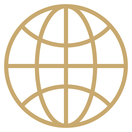 Gold world globe icon with latitude and longitude lines on a black background.