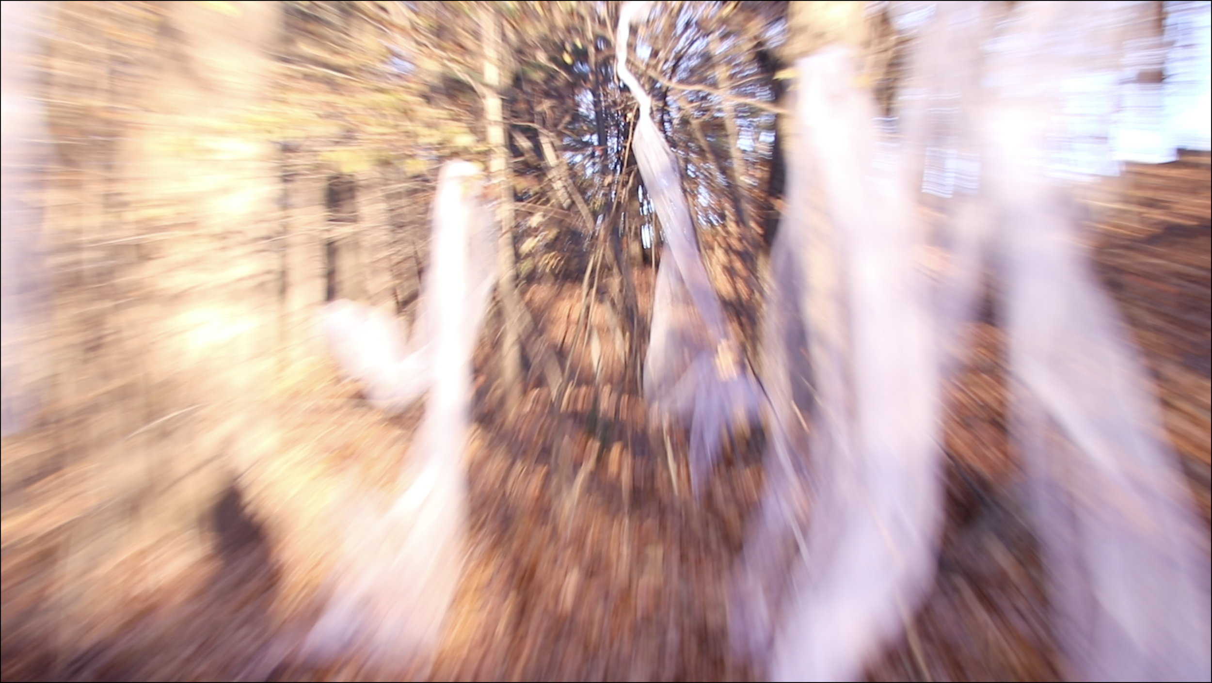 Screen Shot 2021-12-08 at 4.41.57 PM.png