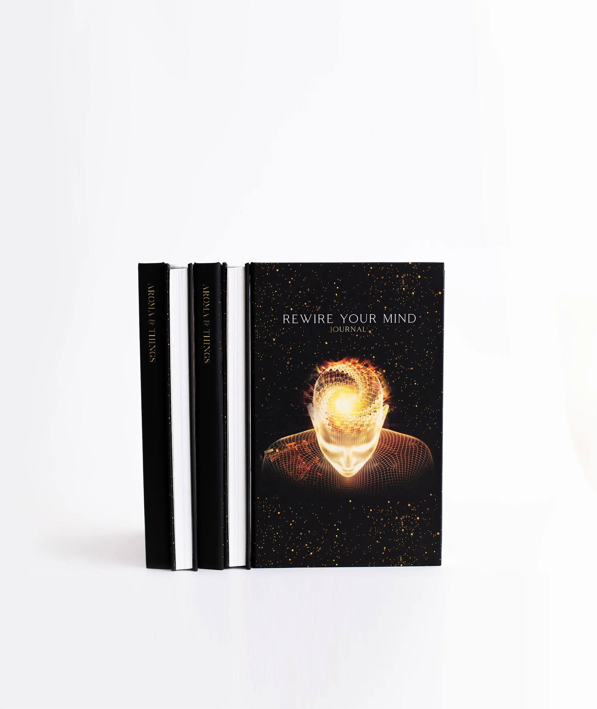 Standing stack of black & gold journals